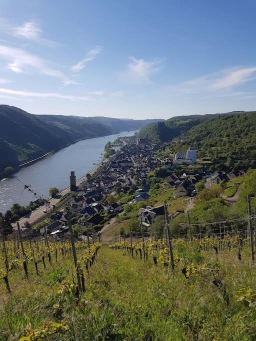 Wohnen Am Schoenen Mittelrhein Weltkulturerbe Oberwesel Ngoại thất bức ảnh